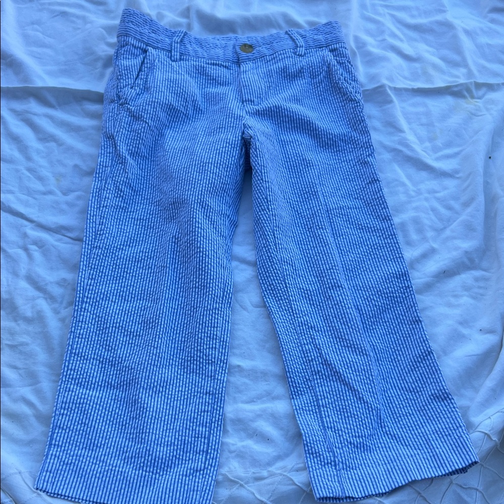 Blue Striped Pants